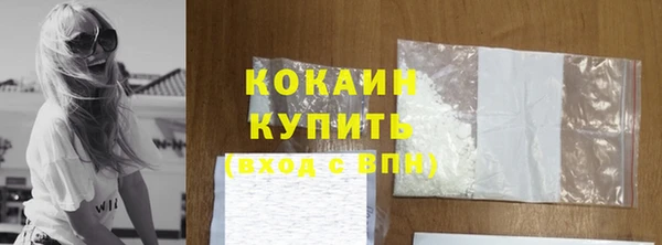 кокс Алексин