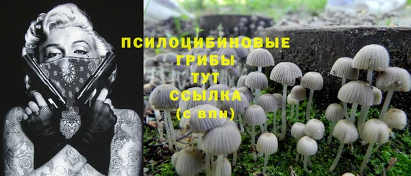 сатива Абдулино