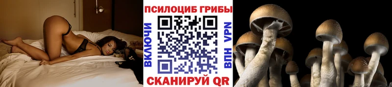 Псилоцибиновые грибы ЛСД  где можно купить   Южа 
