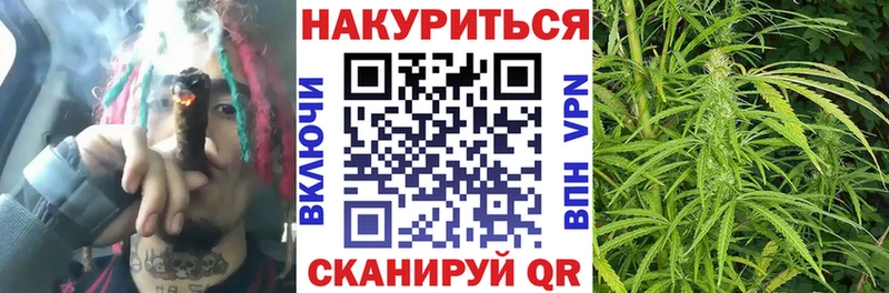 где найти   Южа  Бошки Шишки семена 